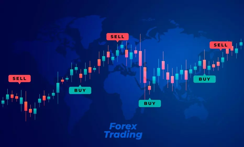 تریدر فارکس ، راکیمو