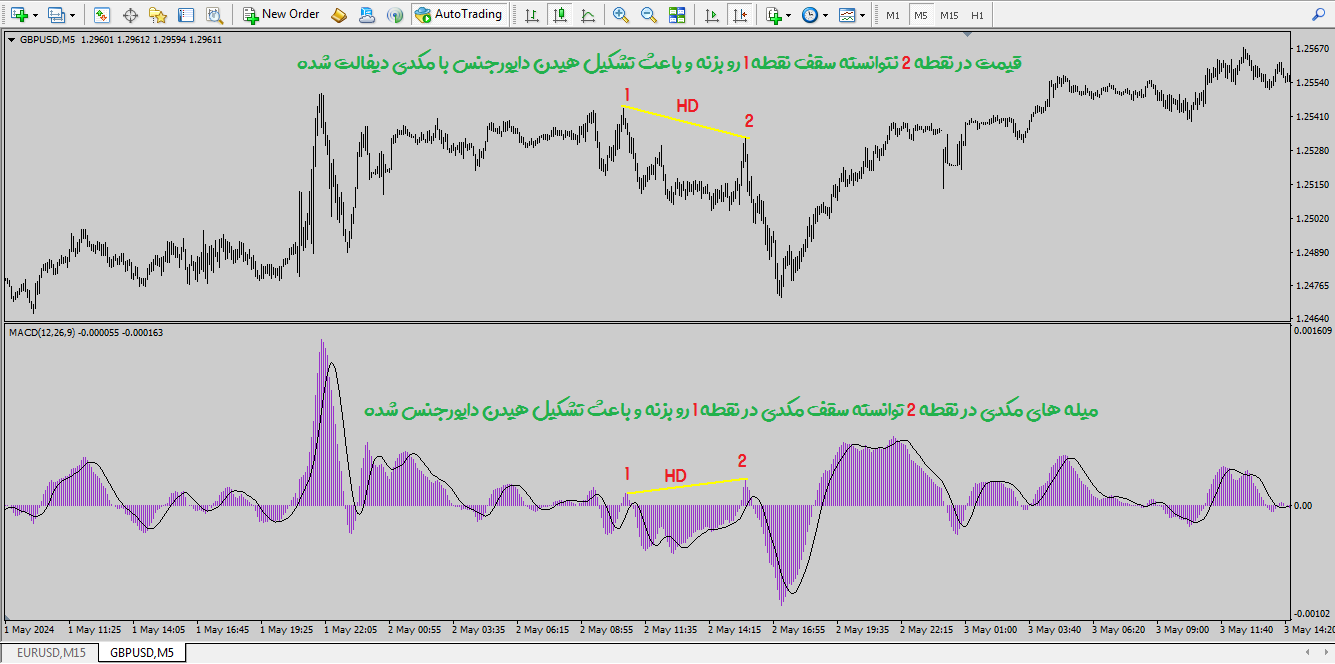 هیدن دایورجنس مکدی راکیمو