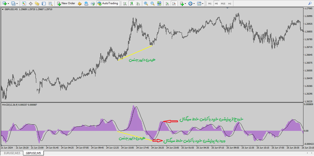 استراتژی هیدن دایورجنس مکدی راکیمو