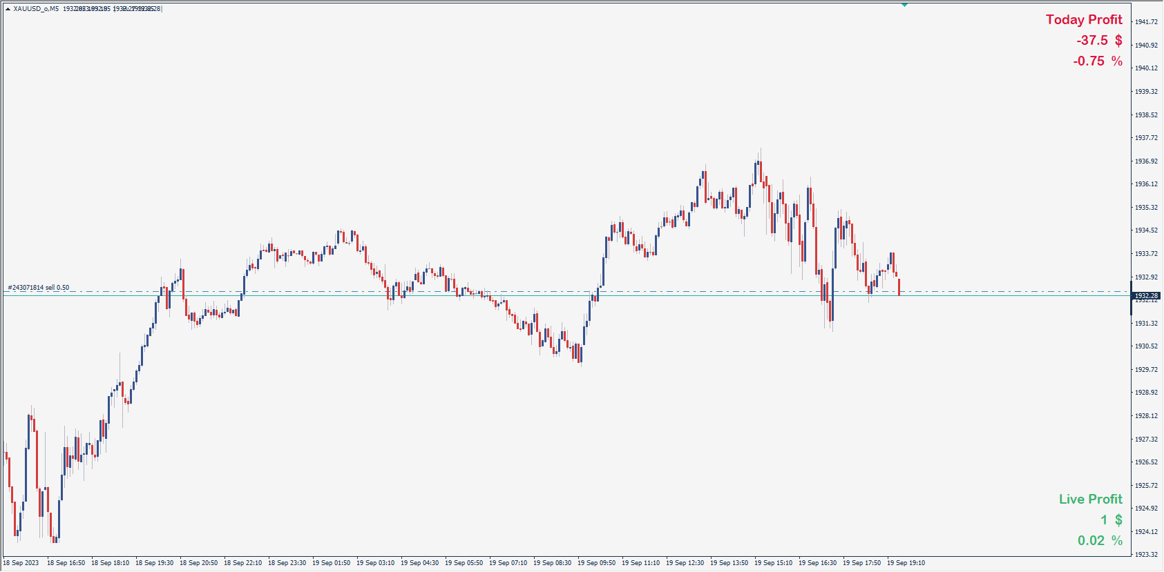 اندیکاتور today profit متاتریدر 4 ، راکیمو
