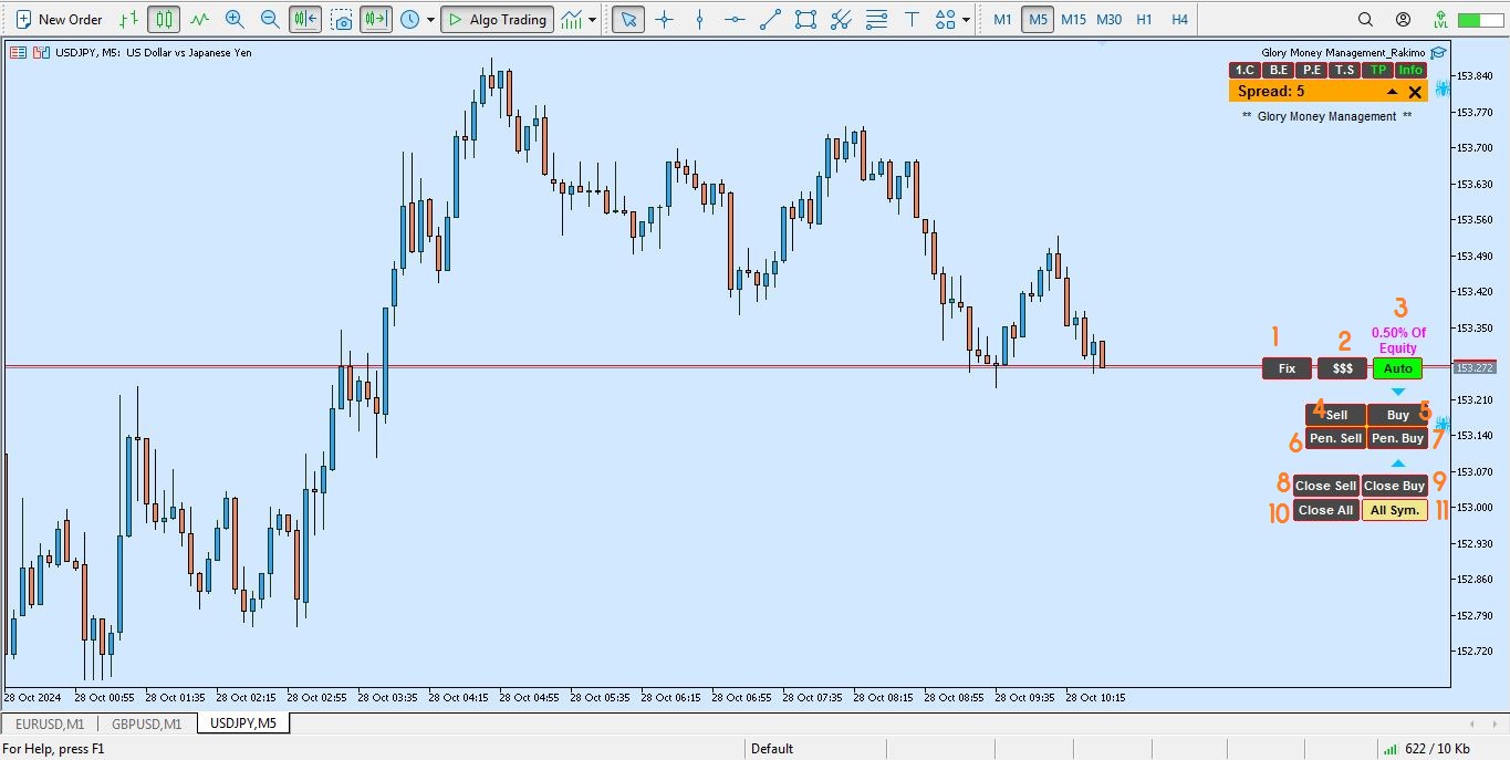 اکسپرت مدیریت سرمایه گلوری برای متاتریدر 5 - راکیمو
