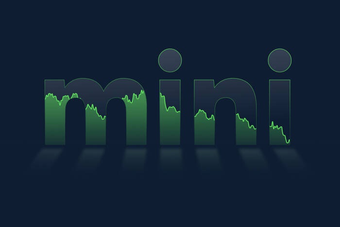 انواع حساب های معاملاتی در فارکس - حساب mini - راکیمو