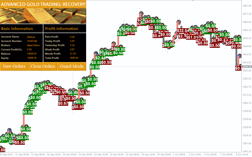 اکسپرت Advanced Gold Trading برای متاتریدر 4 - راکیمو