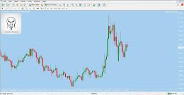 دانلود اکسپرت Albatross برای متاتریدر 4 - راکیمو